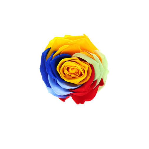 Rosa stabilizzata flowercube arcobaleno