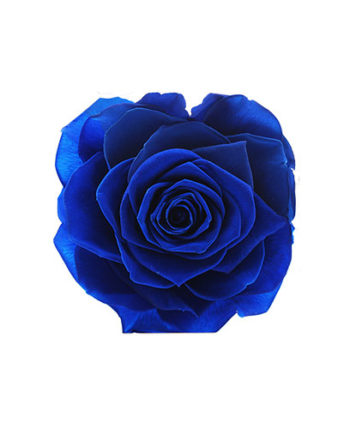 Rosa stabilizzata blu flowercube